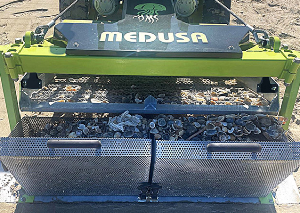 medusa-06